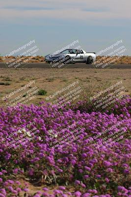 media/Jan-08-2023-SCCA SD (Sun) [[8f6a5b9391]]/Intermediate Group/Session 2 (Short Straight)/